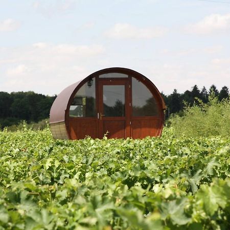 Domaine la Porte Dorée Cheverny Extérieur photo