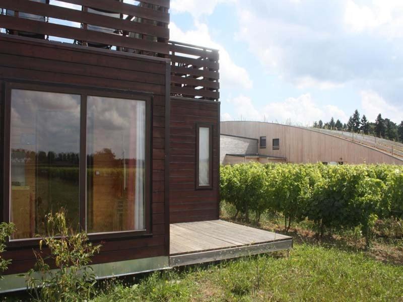Domaine la Porte Dorée Cheverny Extérieur photo